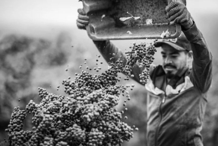 Napa photographer Bob McClenahan